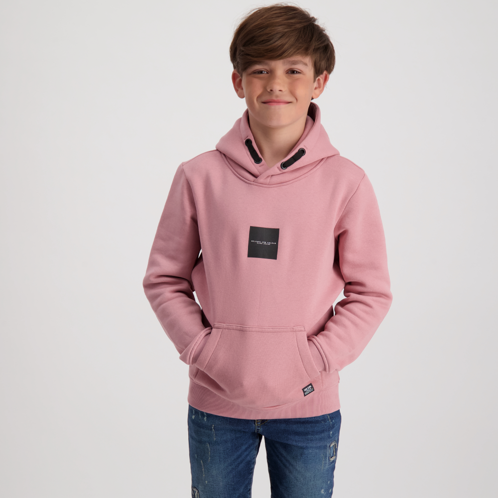 CA6129 Hoodie Kids SCEAMS SW Hood Berry