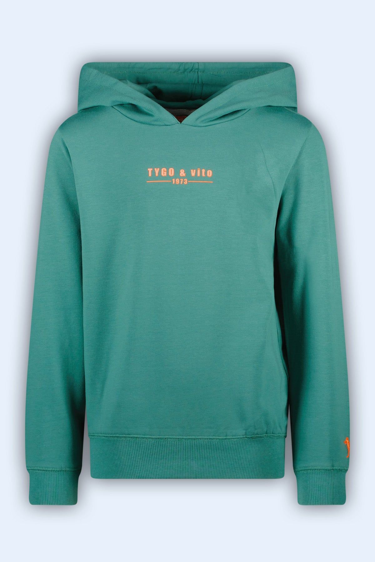 Hoody Hugo Groen